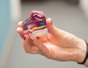 NYU School of Medicine Case Study NYU School of Medicine Case Study