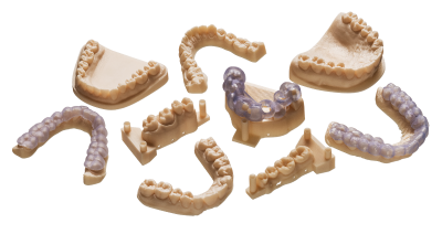 Teeth 3D printed prototypes Teeth 3D printed prototypes